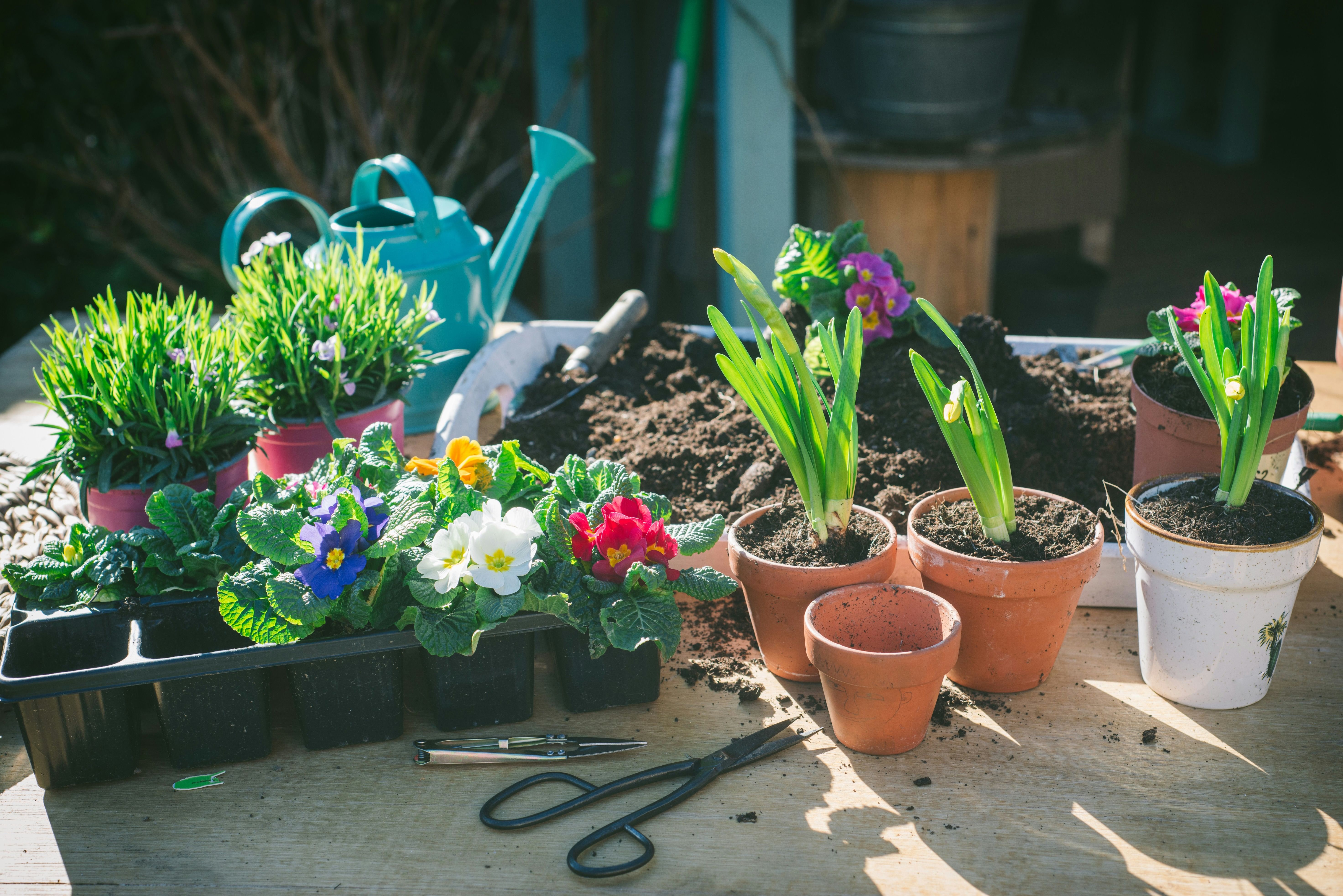 Flowers and garden tools — symbol for gardening